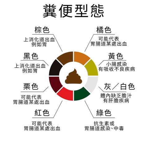 代表健康的顏色|【代表健康的顏色】快看看！代表健康的顏色竟然跟你想的不一。